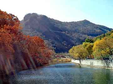 新澳天天开奖资料大全旅游团，永安黑帽seo